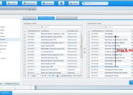 Manuelle Artikelsortierung per Drag & Drop