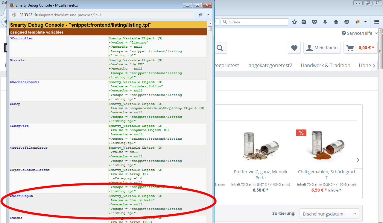 Debuggin in Smarty mit Testausgabe